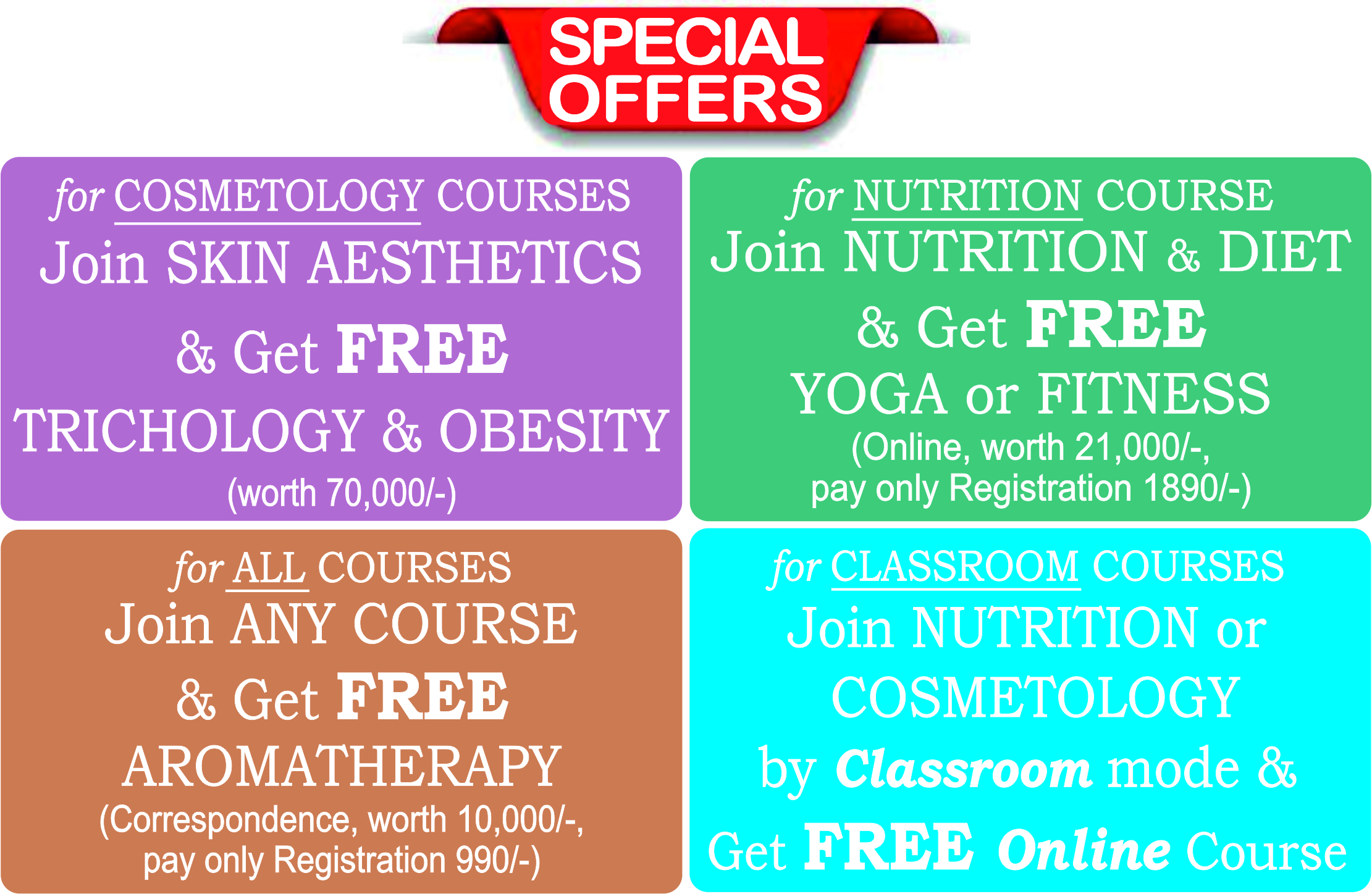 Tulip International Course Offers